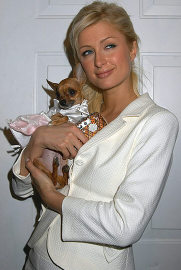 First Class Fashionista would like to invite you to shop: Discount Designer Clothes Discount Designer Shoes Discount Designer Handbags *BOOKMARK THIS SITE for Updates* Celebrity Fashionista Paris Hilton and Her...