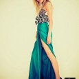 My Experience with America’s Next Top Model: ANTM Casting Call Tips Originally posted at “First Class Fashionista” My Experience with America’s Next Top Model: I Guess I’ll Just Find My Own Way to the Top! I don’t have cable or much...