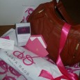 ALESYA BAG Review A couple of months ago, I was granted the honor of being a brand ambassador for Alesya Bags in Charleston. As a part of that honor, I...