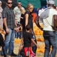 Blake Lively was spotted in New York going solo with a pumpkin in hand. Despite rumors of her recent split with fling Leonardo Dicaprio, the Gossip Girl star was looking...