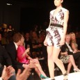 From Mobile Phone Pics to Runway Fashion Show Prints! On Friday, March 16th, New York designer Maria Cornejo made her very first public appearance in Denver to present the Zero...