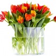 Mother’s Day Brunch and Activity Ideas In honor of Mother’s day, we at “First Class Fashionista” have put together a few ideas on how to give back to the woman who gave you everything! Not all...