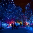 Fun Things to do While on your Holiday Break One of my biggest fears when I’m on holiday break is getting BORED. I know that I am not the only one feeling this way. I think to be a...