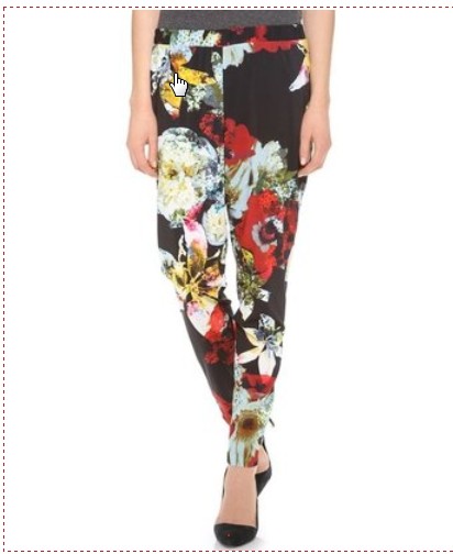 alice and olivia floral pants